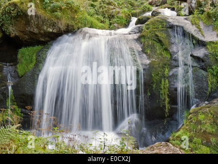 Landschaft, zeigt die Triberger Wasserfälle im Schwarzwald in Süddeutschland im Sommer Stockfoto