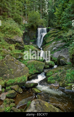 Landschaft, zeigt die Triberger Wasserfälle im Schwarzwald in Süddeutschland im Sommer Stockfoto