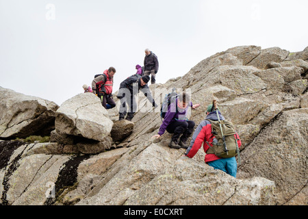 Wanderer, die kriechen, nach unten über die schwierige Felsen auf Carnedd Moel Siabod Daear Ddu Grat in Berge von Snowdonia, North Wales, UK Stockfoto