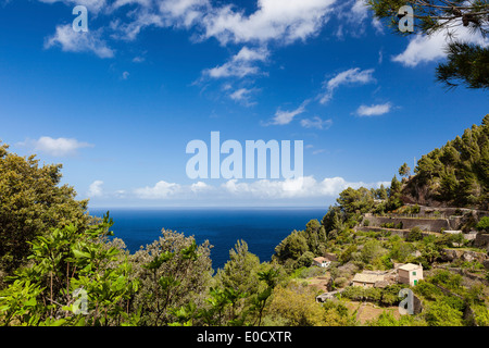 Mittelmeerküste-Straße, Anwesen mit terrassierten Anbauflächen, Banyalbufar, Mallorca, Spanien Stockfoto