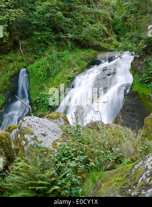 Landschaft, zeigt die Triberger Wasserfälle im Schwarzwald in Süddeutschland im Sommer Stockfoto