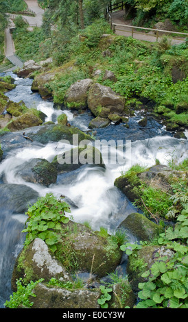 Landschaft, zeigt die Triberger Wasserfälle im Schwarzwald in Süddeutschland im Sommer Stockfoto