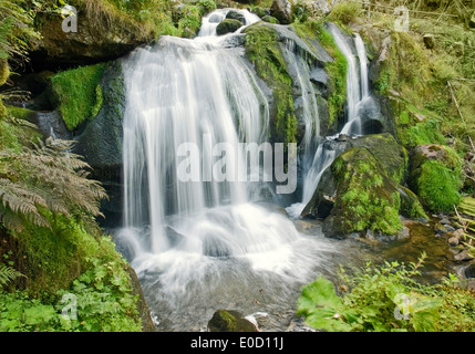 Landschaft, zeigt die Triberger Wasserfälle im Schwarzwald in Süddeutschland im Sommer Stockfoto