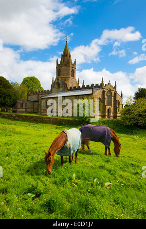 Pferde grasen außerhalb St. Bartholomews Kirche in dem Dorf Tong, Shropshire, England Stockfoto