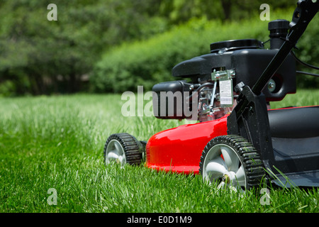 Nahaufnahme des Push-Mäher auf Rasen Stockfoto