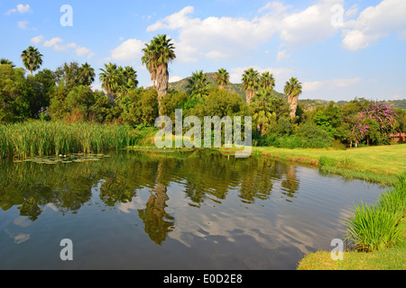 Gary Player Country Club Golf Course, Sun City holiday Resort, Pilanesberg, North West Province, Südafrika Stockfoto