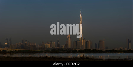 Rosaflamingos Fütterung und die Sonne fangen das Burj Khalifa, Dubai, Vereinigte Arabische Emirate (Phoenicopterus Roseus) Stockfoto