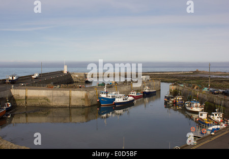 Gemeinsame Hafen Northumberland UK Stockfoto