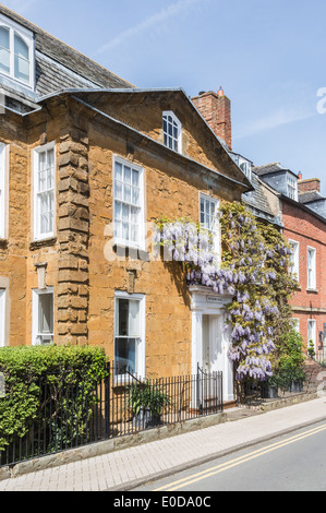 Traditionelles Cotswold Stadt Steinhaus in Shipston auf Stour, Warwickshire, mit lila Glyzinien wachsen rund um die Haustür Stockfoto