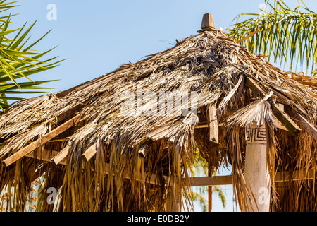 Nahaufnahme des Daches einer Stammes-Hütte mit Heu gemacht Stockfoto