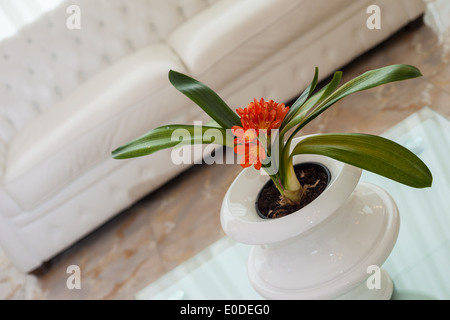 eine luxuriöse und große moderne Wohnzimmer mit weißen Möbeln Stockfoto