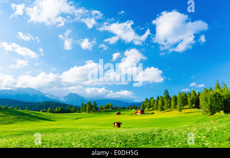 Schöne Landschaft Tal in alpinen Bergen, kleinen Häusern in Seefeld, Ländliches Motiv, majestätischen malerische Aussicht in sonniger Tag Stockfoto