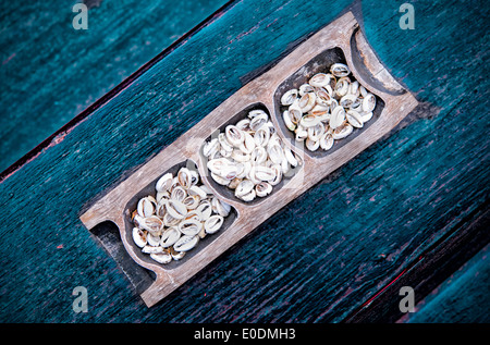 Geld Kaurimuscheln Stockfoto