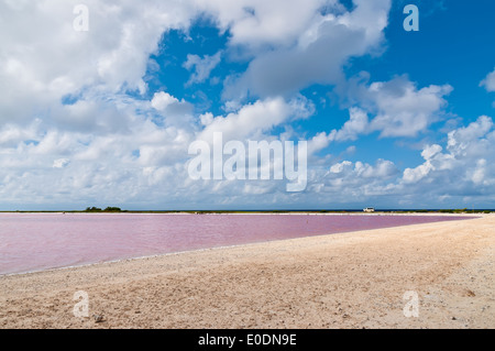 Salzsee. Gewinnung von Salz auf der Insel Bonaire. Stockfoto