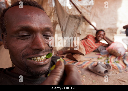 Khat-Benutzer in Harar, Äthiopien. Stockfoto