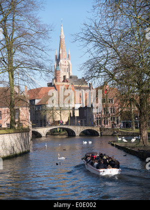 Ein Touristenboot und Schwäne auf dem Kanal in Brügge in Belgien mit der Liebfrauenkirche Brügge im Hintergrund Stockfoto