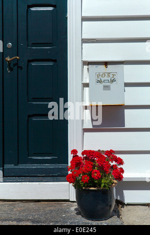 Topf mit roten Blumen vor typisch norwegisches Haus in Stavanger Stockfoto