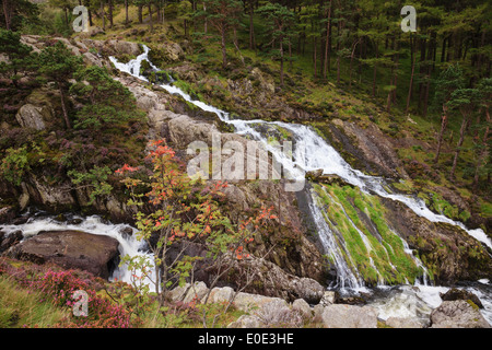 Afon Ogwen Fluss und Wasserfall in Snowdonia-Nationalpark. Ogwen, Gwynedd, North Wales, UK, Großbritannien Stockfoto