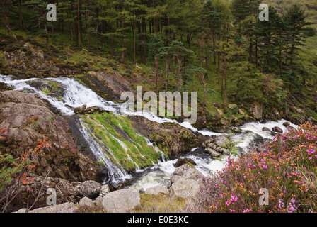 Afon Ogwen Fluss und Wasserfall im Snowdonia National Park im Spätsommer. Ogwen Valley, Gwynedd, North Wales, UK, Großbritannien Stockfoto