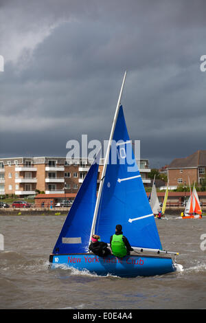 Yacht Racing in West Kirby, Liverpool, Großbritannien. Mai 2019. British Open Team Racing Championships Trophy Sailing's Premier League „The Wilson Trophy“ 200. Die maximale Anzahl an Rennteams wurde auf 36 erhöht. Die Veranstaltung 2019 umfasst 5 amerikanische Teams, 2 irische Mannschaften, 1 australisches Boot und ihr Debüt Team Austria. 27 britische Teams runden das Feld ab, darunter der Titelverteidiger, die West Kirby Hawks. Die Gewinner sind auch West Exempt, Royal Forth Hoosiers und Birdham Bandits. Stockfoto