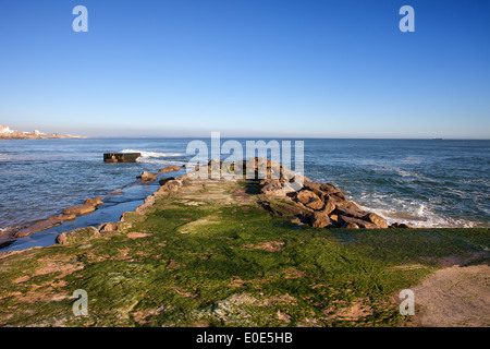 Algen bedeckt Pier am Atlantischen Ozean in Estoril, Portugal. Stockfoto