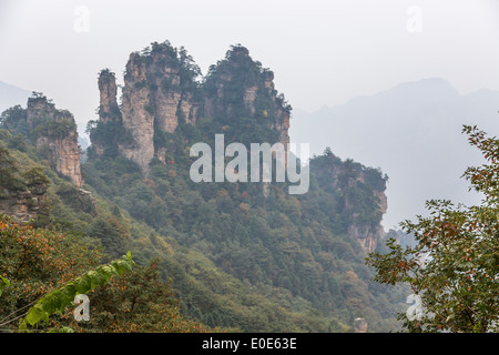 Zhangjiajie National Forest Park Avatar Bergen Stockfoto