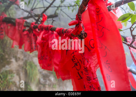 China-Zhangjiajie Tianmen-Berg himmlischen Tor Glas Spaziergang Stockfoto