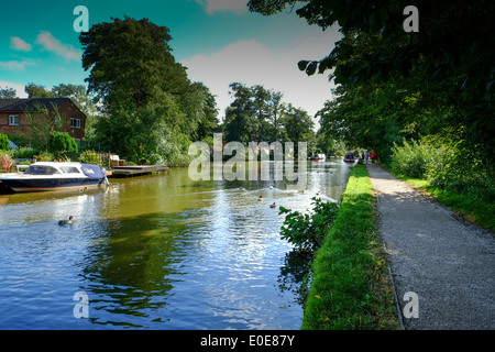 Die Lancaster-Kanal bei Bilsborrow Preston Lancashire England UK. Stockfoto