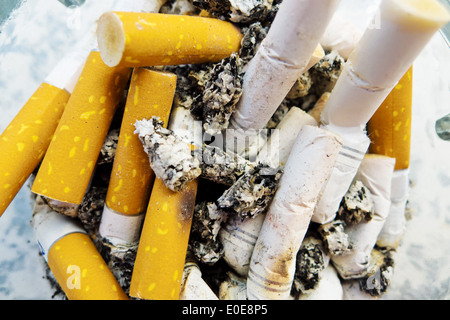 Viele Quellen von Zigaretten liegen in einem Aschenbecher., Viele Kippen von-Lernenden Stück in Einem Aschenbecher. Stockfoto