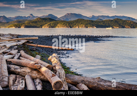 Treibholz am Strand, Yacht zu Sutil Channel, Discovery Islands, Rebecca Spit Provincial Park, Quadra Island, Britisch-Kolumbien Stockfoto