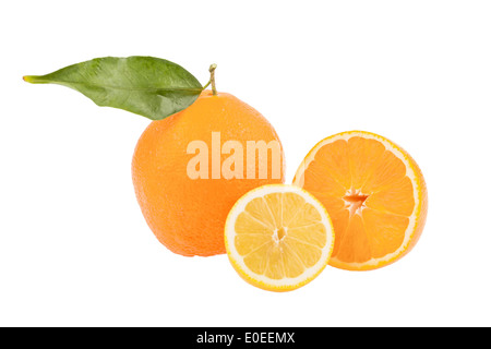 Überlegung einer Orange. Symbolische Foto für gesunde Vitamine durch frisches Obst, Spiegelung Einer Orange. Symbolfoto Fuer Gesunde Vit Stockfoto