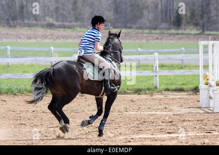 Teenager auf dunkle Bucht Pony geht über einen Sprung an eine lokale Pferdeshow Schulbesuch vorbereiten. Stockfoto