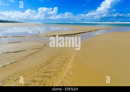 Oststrand, Fraser Island, Queensland, Queensland, Australien Stockfoto