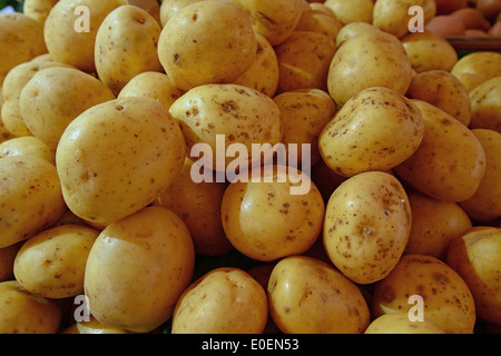 Kartoffeln, Obst und Gemüse Stand am Samstag Markt, Marktplatz, Northampton, Northamptonshire, England, Vereinigtes Königreich Stockfoto