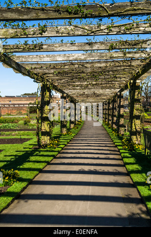 Pergola in Kew Gardens mit Streifen gebildet durch Sonnenlicht durchscheinen Stockfoto