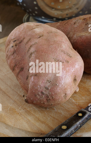 Süßkartoffeln oder Ipomoea Batatas sind süß schmecken Wurzelknollen und eine wichtige Nahrungsquelle Stockfoto