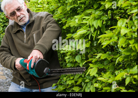 Ein senior Mann eine Hecke trimmen. Stockfoto