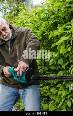 Ein senior Mann eine Hecke trimmen. Stockfoto