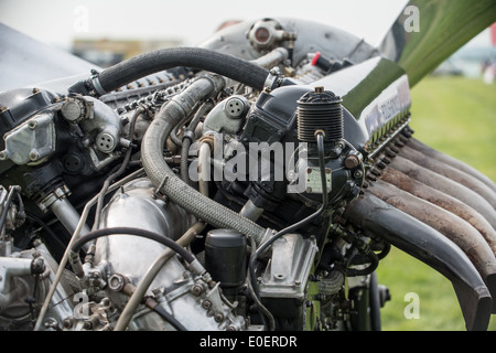 Rolls-Royce V12 Merlin Flugzeugtriebwerk aus dem 2. Weltkrieg Stockfoto