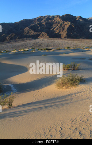 Sanddünen in der Morgendämmerung im Death Valley Stockfoto