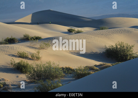 Sanddünen in der Morgendämmerung im Death Valley Stockfoto