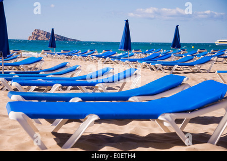 Eine Gruppe von Sonnenbänken in den Strand von Benidorm Stockfoto