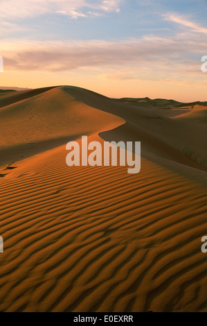 Sahara-Sand-Dünen, Erg Chebbi, Marokko Stockfoto