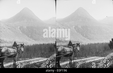 Ein stereoskopisches Bild aus der Zeit um 1898, das die Region Jostedal in Sogn og Fjordane in Norwegen zeigt. Das Bild zeigt den Wasserfall Gjeisdalsfossen und die umliegende Berglandschaft, die in einer Vintage-Stereoaufnahme für einen dreidimensionalen Effekt aufgenommen wurde. Stockfoto
