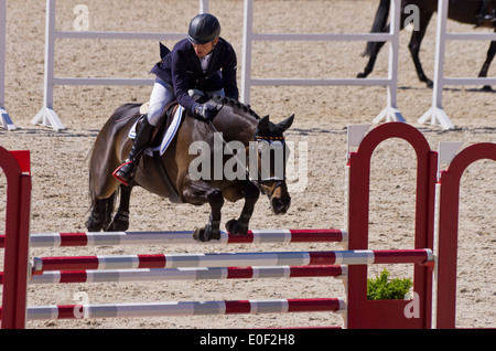 Olympic Champion Michael Jung auf FischerRocana FST, Marbach Vielseitigkeit, 11. Mai 2014 Stockfoto