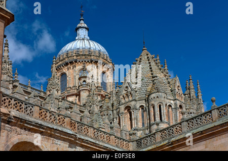 Kuppeln der Kathedrale, Salamanca, Region Kastilien-León, Spanien, Europa Stockfoto