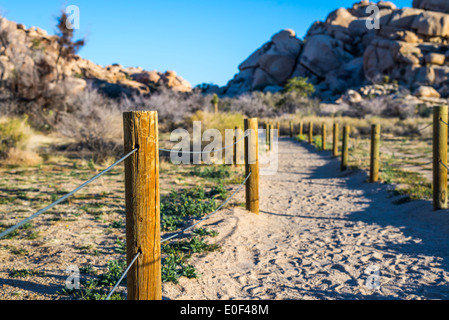 Zaunpfosten zu Beginn des Barker Dam Trails. Joshua Tree Nationalpark, Kalifornien, USA. Stockfoto