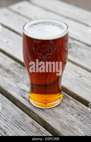 Exmoor Hirsch Stockfoto