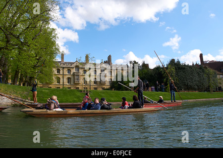 Punting auf dem Fluss Cam, Cambridge, Großbritannien Stockfoto