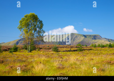 Blencathra (Saddleback), Lake District National Park, Cumbria, England, Vereinigtes Königreich. Stockfoto